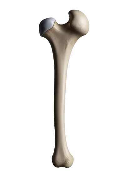 Imagen PNG para descargar